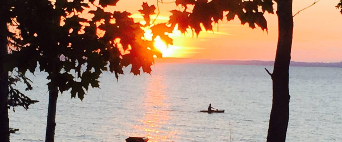 The Mad Divorce Lawyer